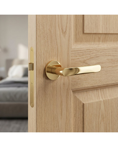 RITA door handle in polished gold finish
