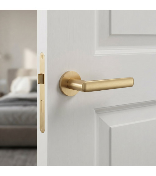 MILA satin gold door handle design handle