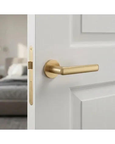 Satin gold finish door handle MILA