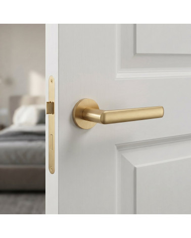 Satin gold finish door handle MILA