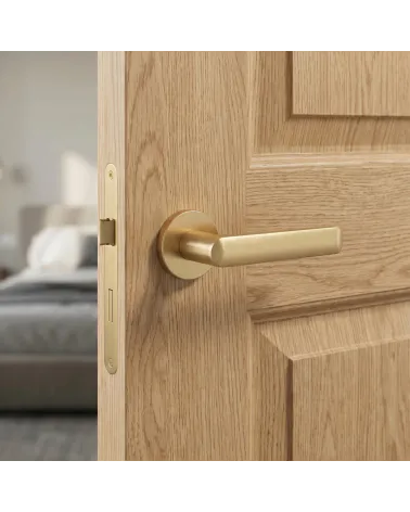 Satin gold finish door handle MILA