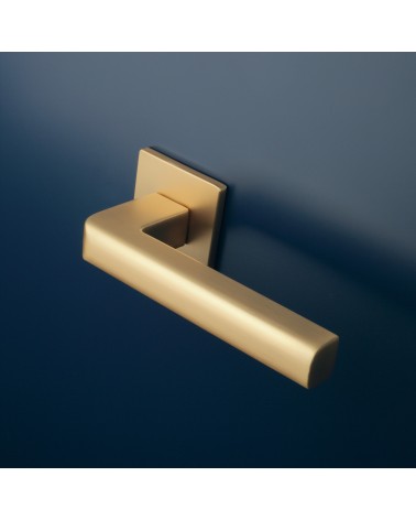 SALICE matte gold door handle design hardware mounted on a door