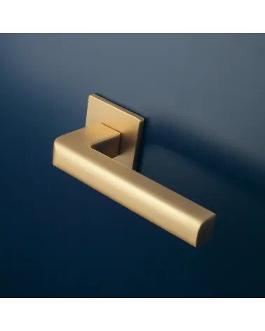 SALICE matte gold door handle design hardware mounted on a door