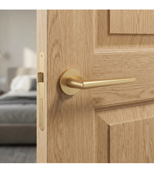 SALTA matt gold door handle design handle