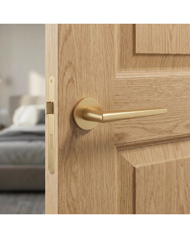 Matt gold door handle SALTA