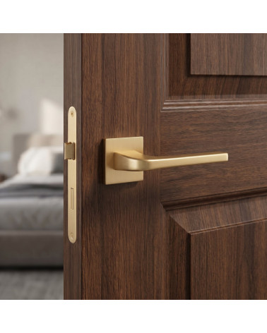 Matt gold door handle NAKA