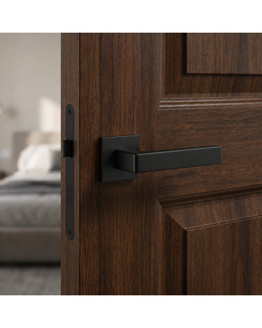 Classic style door handles MIIA