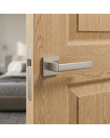 Nickel MIIA door handles