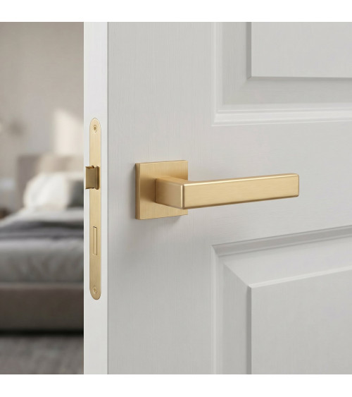 MIIA matt gold door handle design handle