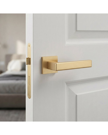 MIIA matt gold door handle