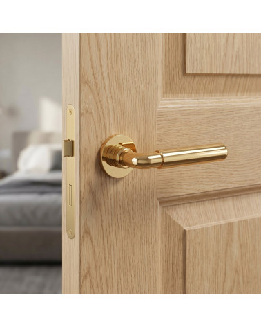 Polished gold door handle FICARIA