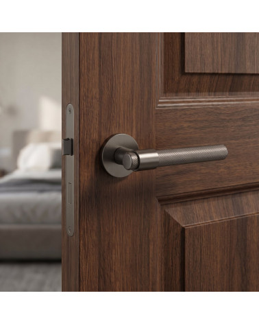 GOYA titanium door handle