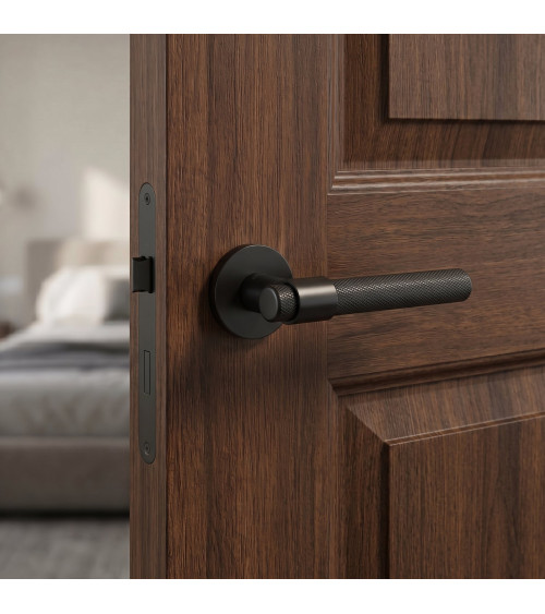 GOYA black door handle design handle