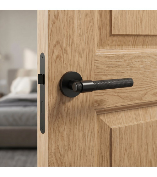 GOYA black door handle design handle