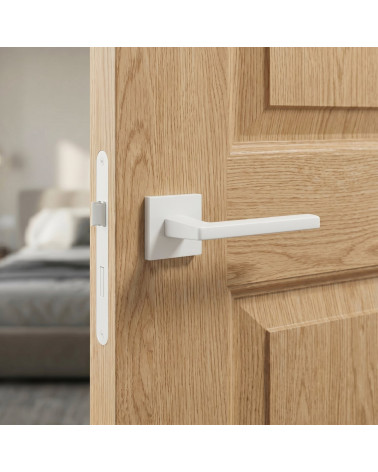 PYROLA door handles in durable zamak