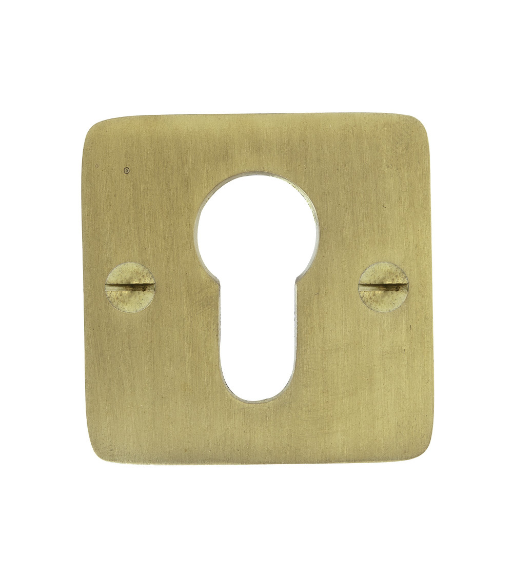 CDL cylinder key door rose in brass - designer handle