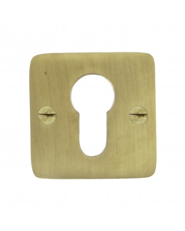 CDL cylinder key door rose in brass - designer handle