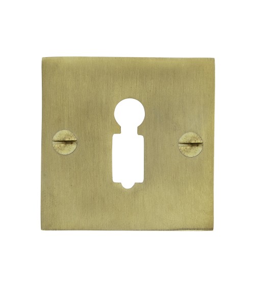 CDL cylinder key door rose in brass - designer handle