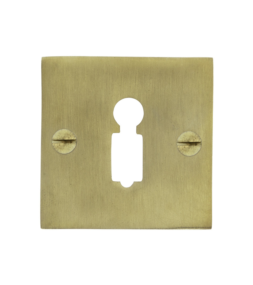 CDL cylinder key door rose in brass - designer handle