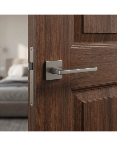 Titanium PYROLA door handles