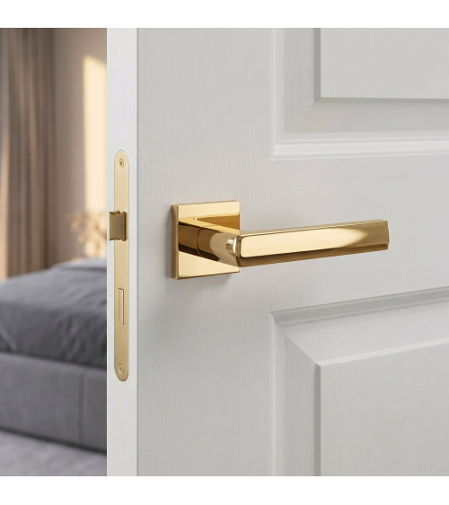 Polished gold HOSTA door handle design hardware