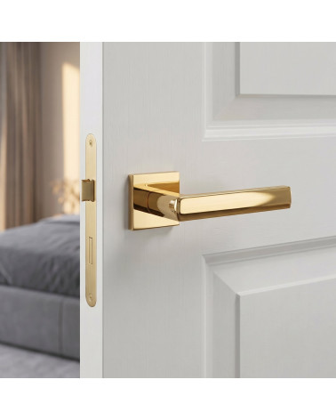 Polished gold door handles HOSTA square
