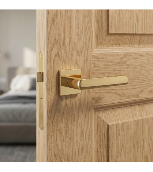 Polished gold HOSTA door handle design hardware