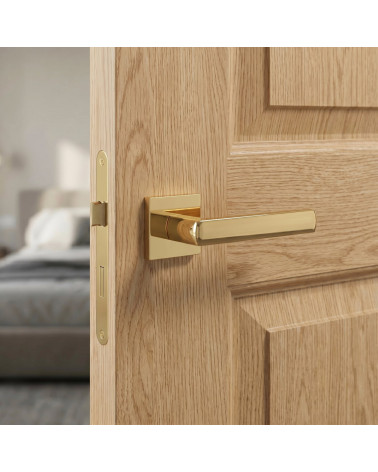 Polished gold door handles HOSTA square
