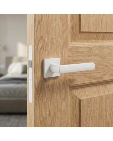 HOSTA door handles in resistant and durable zamak