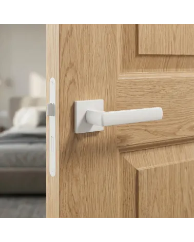 HOSTA door handles in resistant and durable zamak