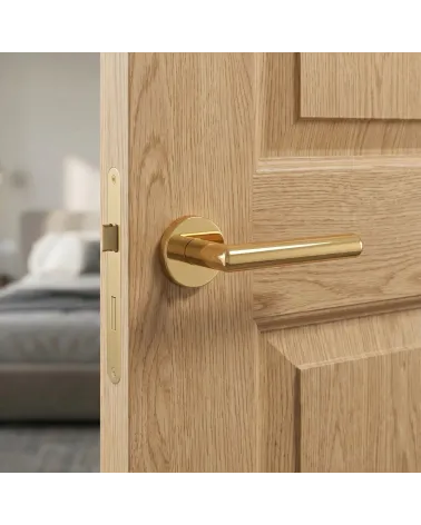 ARABIS round plate door handle