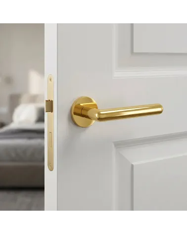 NOX round polished gold door handle