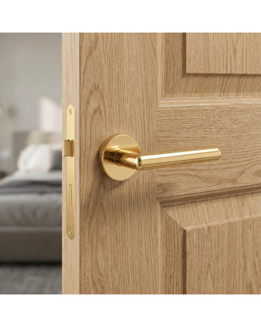 NOX round polished gold door handle