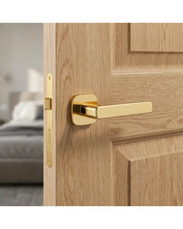 Polished Gold Colour Door Handle - APRIL IXIA Model