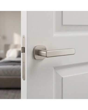 Satin Nickel Door Handle - IXIA Model