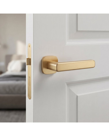 Matt Gold Door Handle - IXIA Model