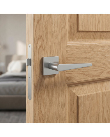 Satin Chrome Door Handle for a unique character - ARNICA