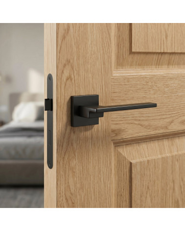 Black Door Handle on Square Rose - COSMOS Model