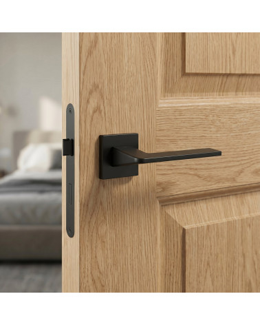 Black Door Handle on Square Rose - VAVA Model