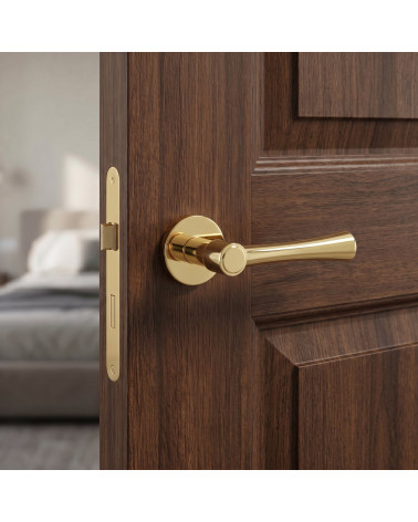 Modern Polished Gold Door Handle - MADLEN Model