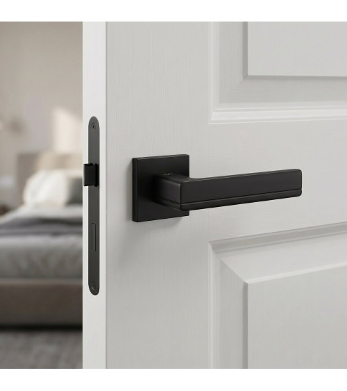 Titanium door handles
