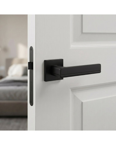 PLATON black door handles