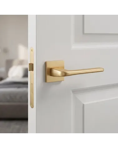 The solo matt gold door handle