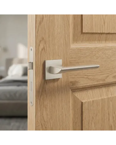 Satin nickel door handle - BIRA Model