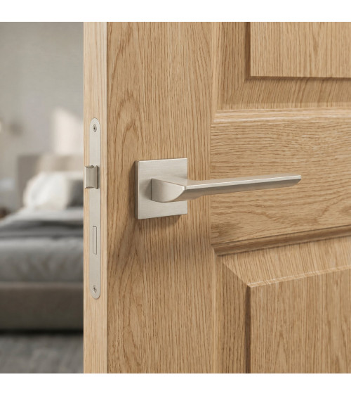 BIRA zamak door handle design handle