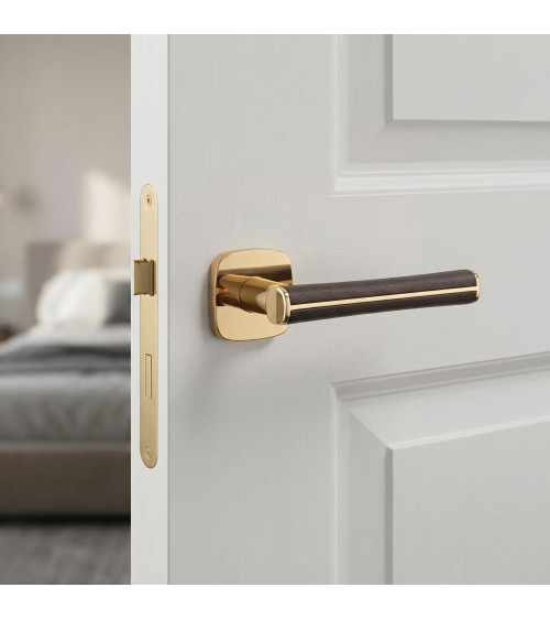 DAVIDIA polished gold door handle designer handle