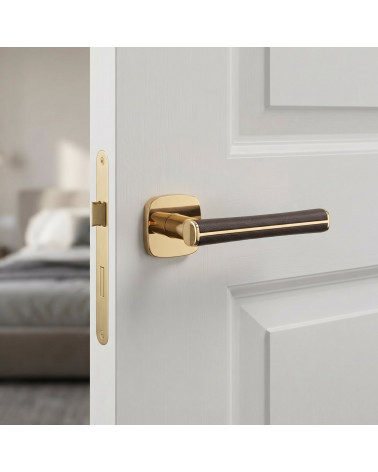 DAVIDIA polished gold door handles