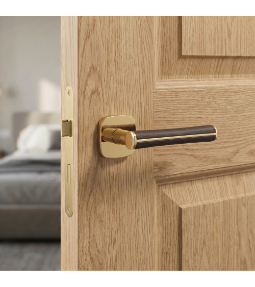DAVIDIA polished gold door handle designer handle