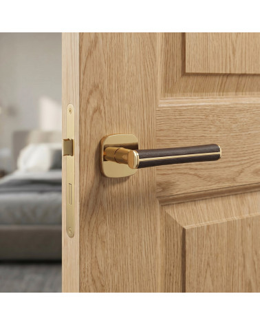 DAVIDIA polished gold door handles