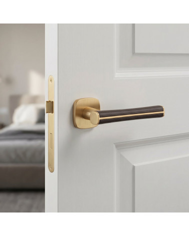 DAVIDIA Matt Brass Door Handles